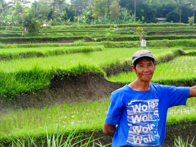 Local Rice farmer near Ubud