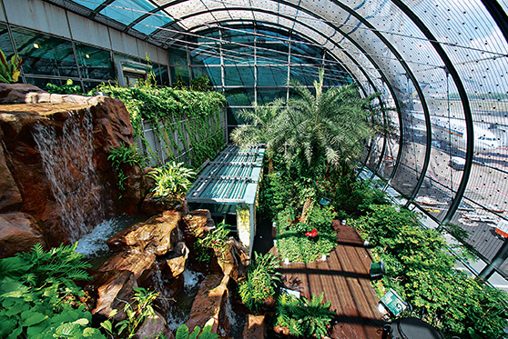 dubai-airport-zen-gardens