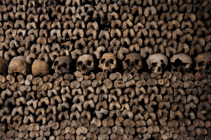 Image of skulls and skeletons.