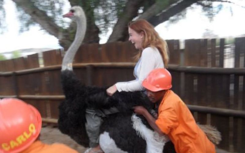 ostrich-riding-attempt
