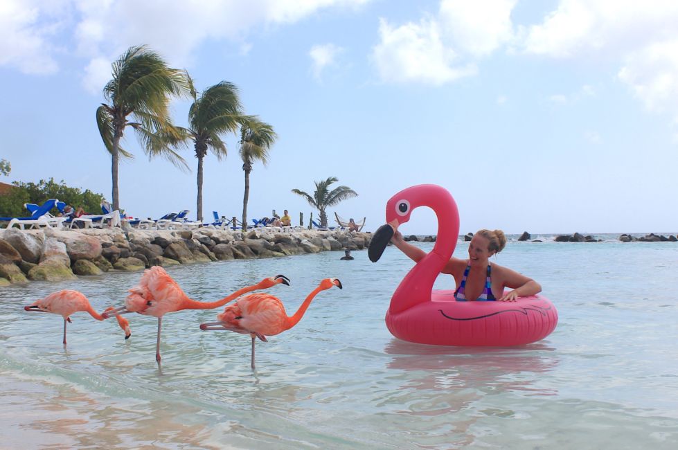 Everything You Need To Know About Flamingo Island Aruba