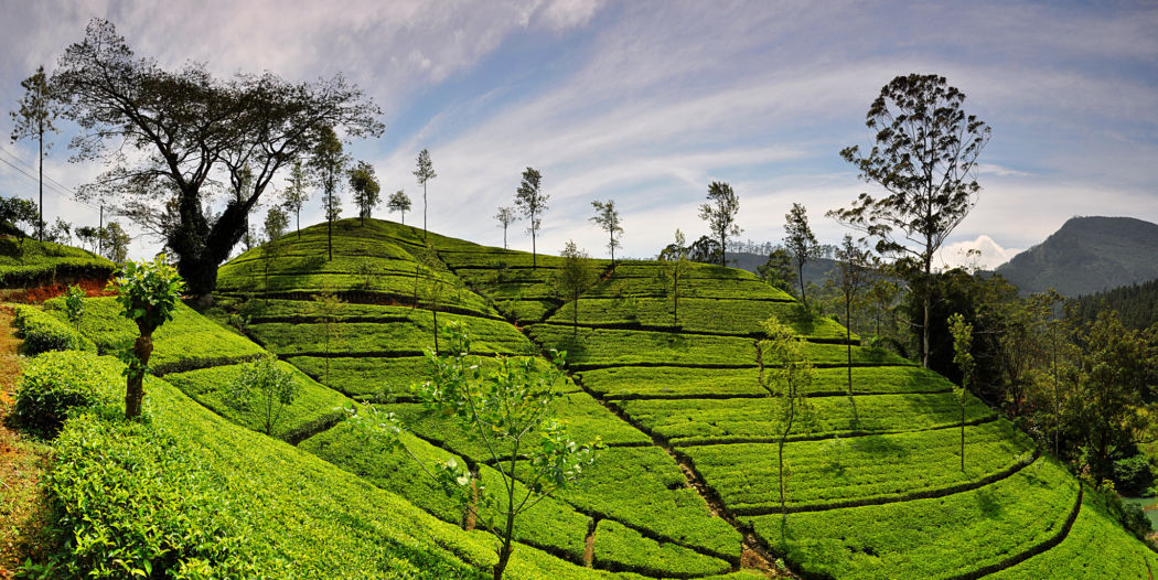 17 Breathtaking Places To Visit in Sri Lanka – Your Adventure Guide