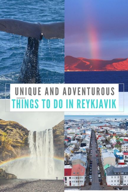 unique things to do in reykjavik