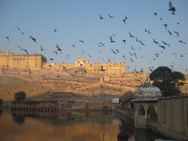 amber fort in jaipur with birds