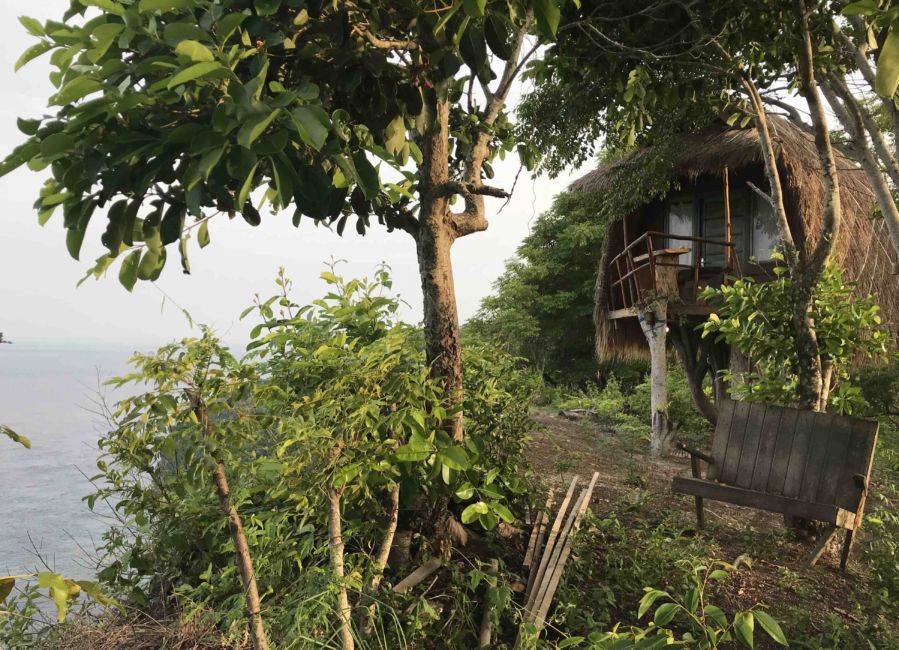 treehouse on penida island