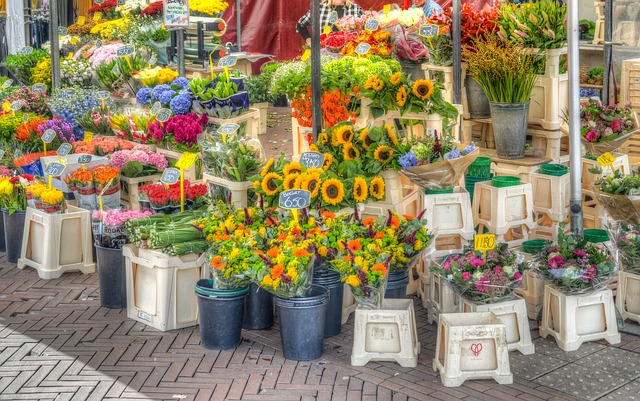 market in amsterdam